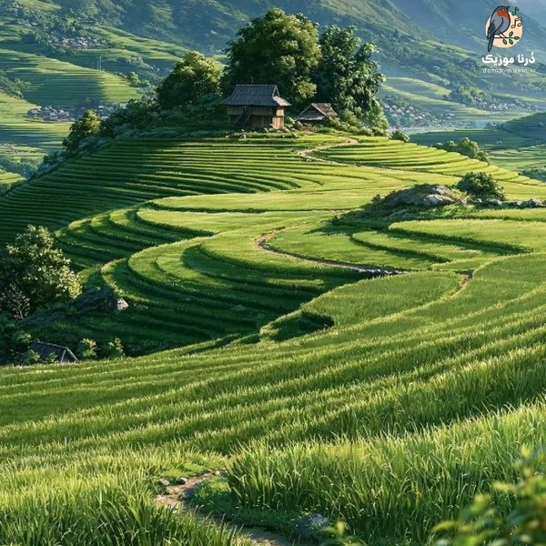  داره حال میده مگه نه که پیشت نیستم