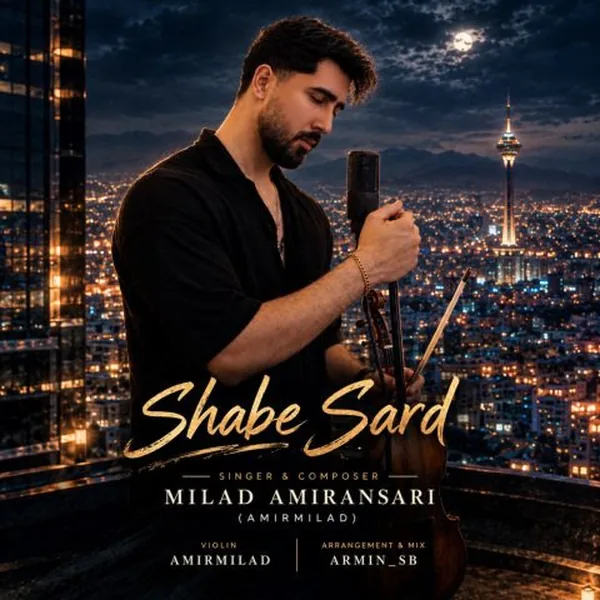 میلاد امیر انصاری شب سرد