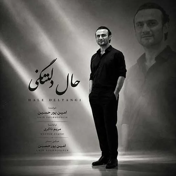 امین پورحسین حال دلتنگی