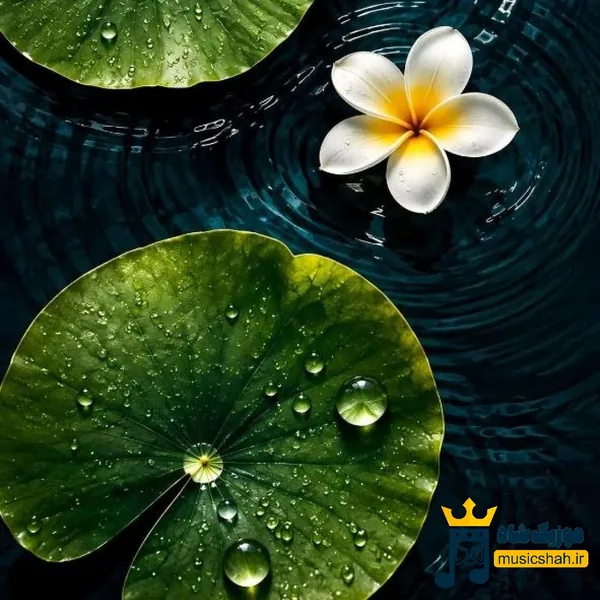 احساساتم مردن برام چیزی نمونده تقصیر توعه