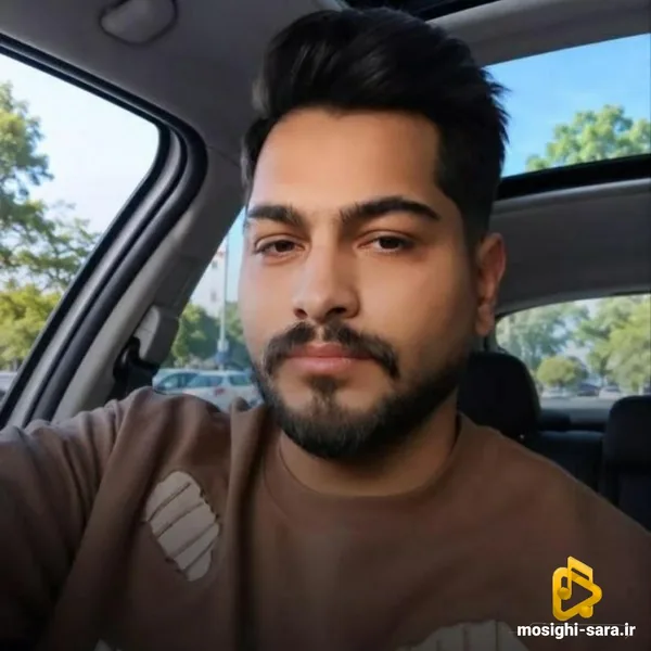 امیرمحمد افشار فرفری