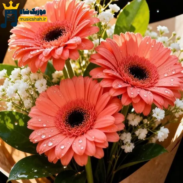  تو فکر منی قبله خوابت من یادمه تو اگه رفته یادت